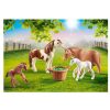 PONIES WITH FOALS - Image 2