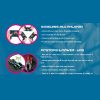 SCALEXTRIC FORMULA E RACE SET - Image 4