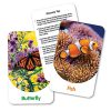 DISCOVERY CARDS OUT & ABOUT NEW - Image 2