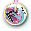 CLEMENTONI CRAZY CHIC MESSAGE CREATIONS - Image 3